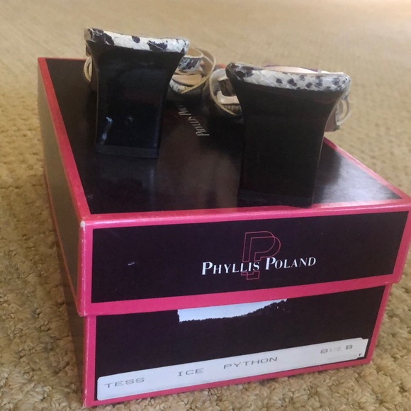 Kitten heals - Picture 3 of 3